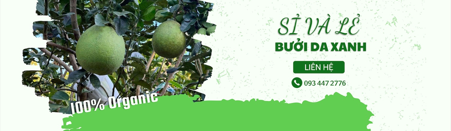 banner bưởi da xanh trang chủ